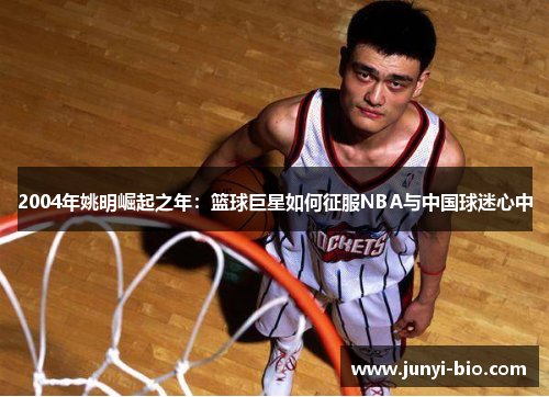 2004年姚明崛起之年：篮球巨星如何征服NBA与中国球迷心中
