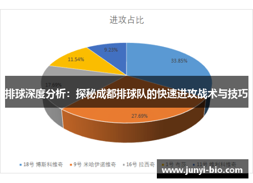 排球深度分析：探秘成都排球队的快速进攻战术与技巧