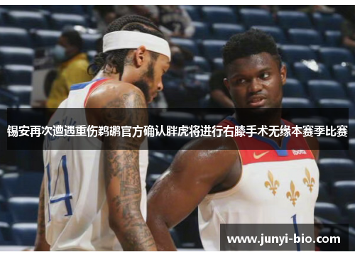 锡安再次遭遇重伤鹈鹕官方确认胖虎将进行右膝手术无缘本赛季比赛